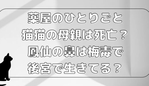 猫猫の母親は死亡？鳳仙の鼻は梅毒で後宮で生きてる？